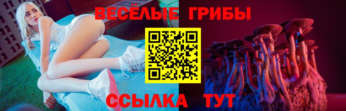 Галлюциногенные грибы Psilocybine cubensis Шахты