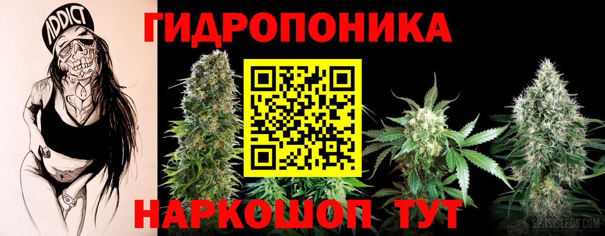 Шахты  Шишки марихуана SATIVA & INDICA  Вход с VPN  Шишки марихуана Bruce Banner  Бошки Шишки THC 21% 